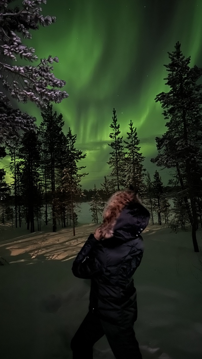 ����� �� 14-� ������ ���, �� �������� 