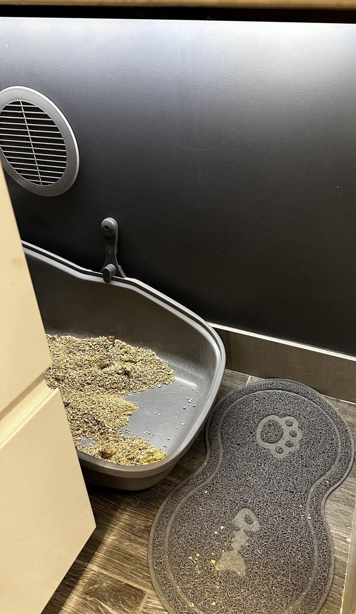 ��� �����, ����� 150��, ����������� �������