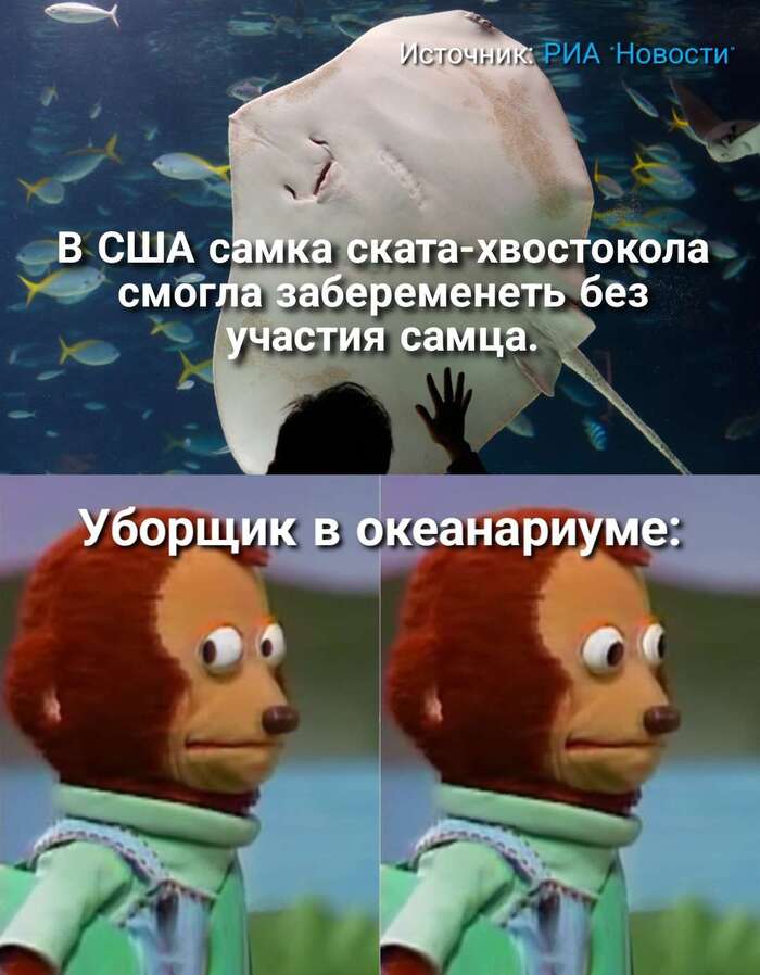      , ,   , 