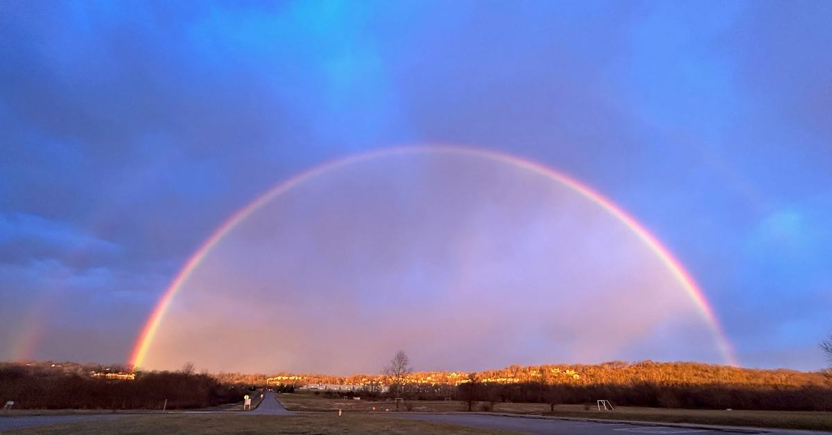 Rainbow | Пикабу