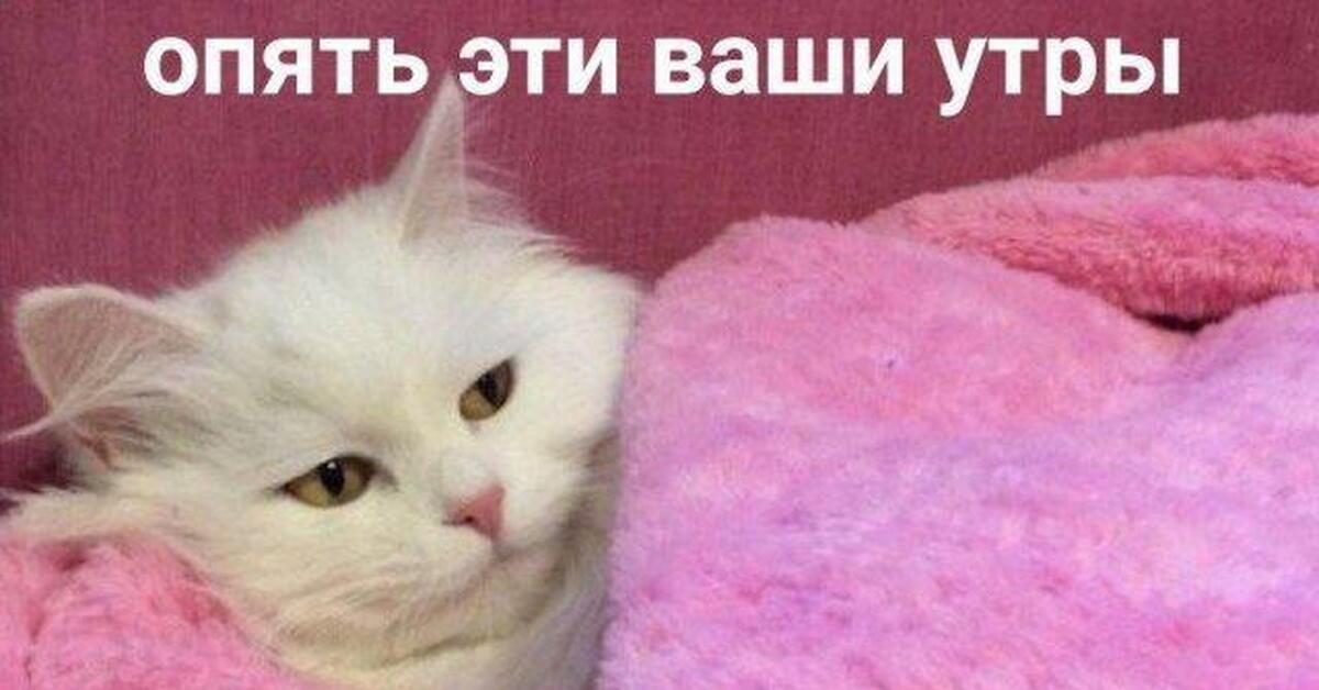 с добрым утром зимние позитивные. с добрым зимним утром картинки прикольные женщине. пожелания доброго зимнего утра. с добрым зимним утром картинки прикольные женщине. зимние поздравления с добрым утром.