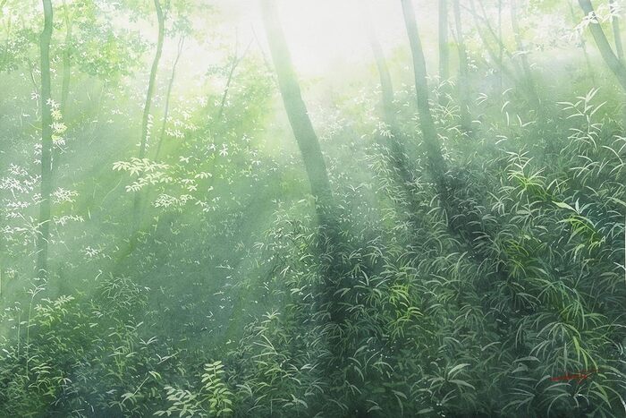   (Abe Toshiyuki)  , ,  , , 