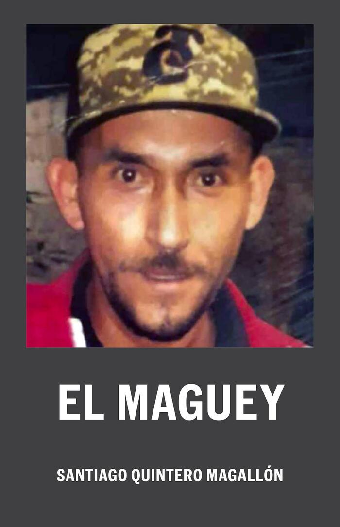 Структура картеля Нового Поколения Халиско в штате Мичоакан. Мексика