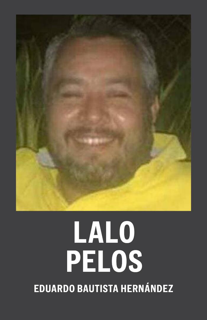 Структура картеля Нового Поколения Халиско в штате Мичоакан. Мексика