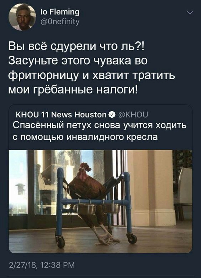170798373915019761.jpg