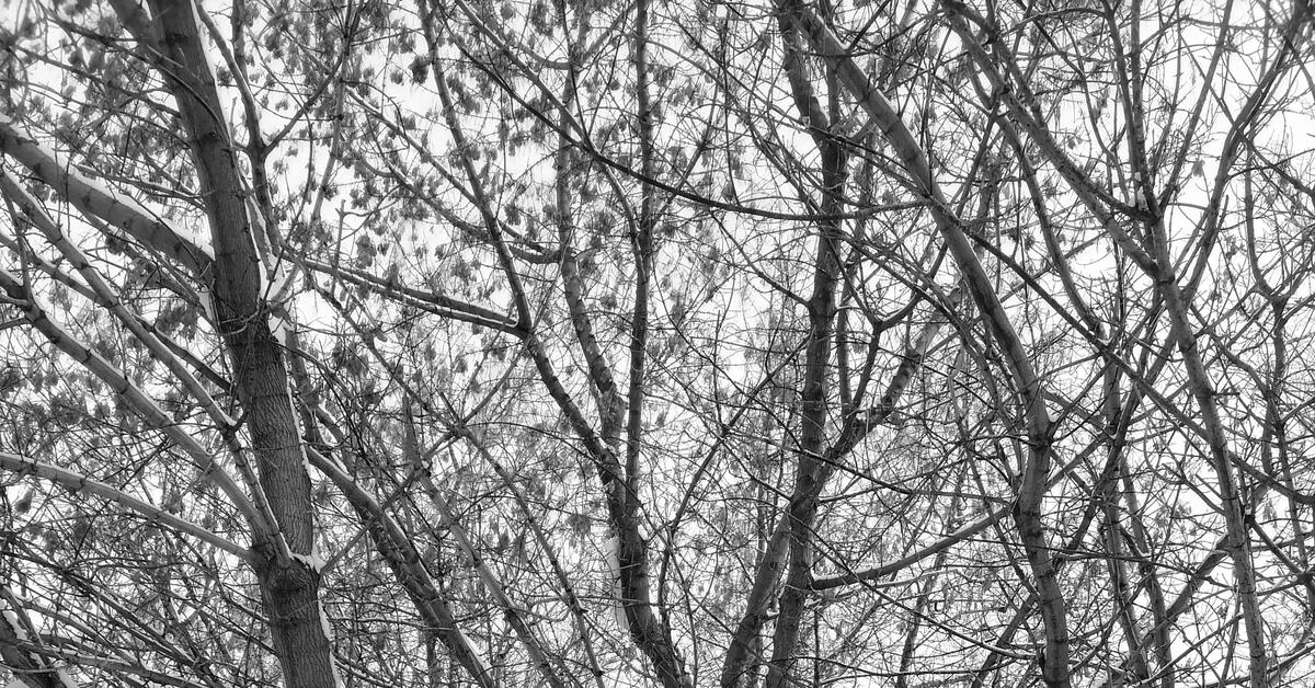 Теория хаоса.... | Пикабу