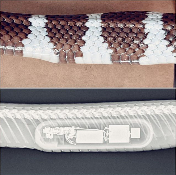 Если что, этих фото в посте не было, ТС выложила их позже