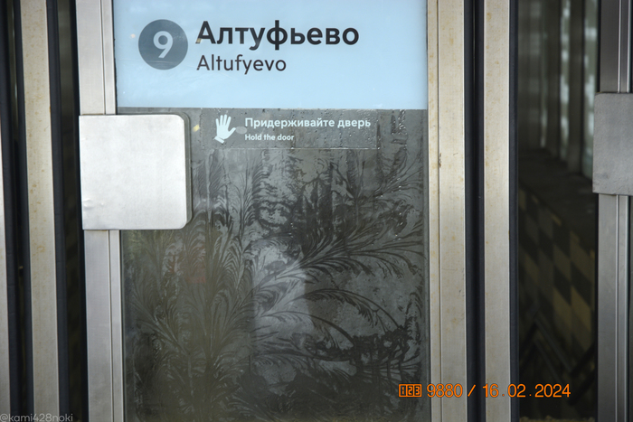 Выхожу, любуюсь красивыми узорами на стекле...