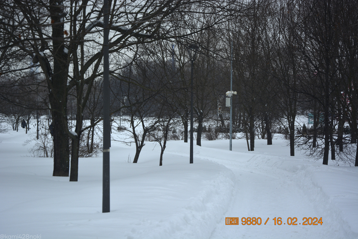 Заворачиваем. Из динамика на столбе впереди доносится странный звук