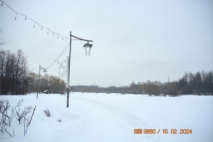 Алтуфьевский пруд