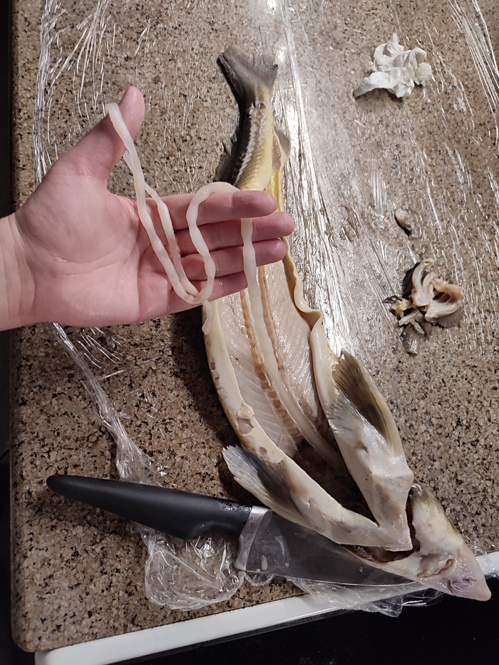 Боялась проглядеть визигу - а вот хрен её проглядишь