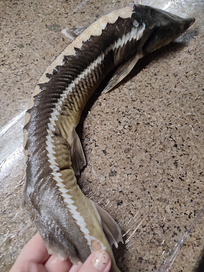 Жучки счищать прикольно