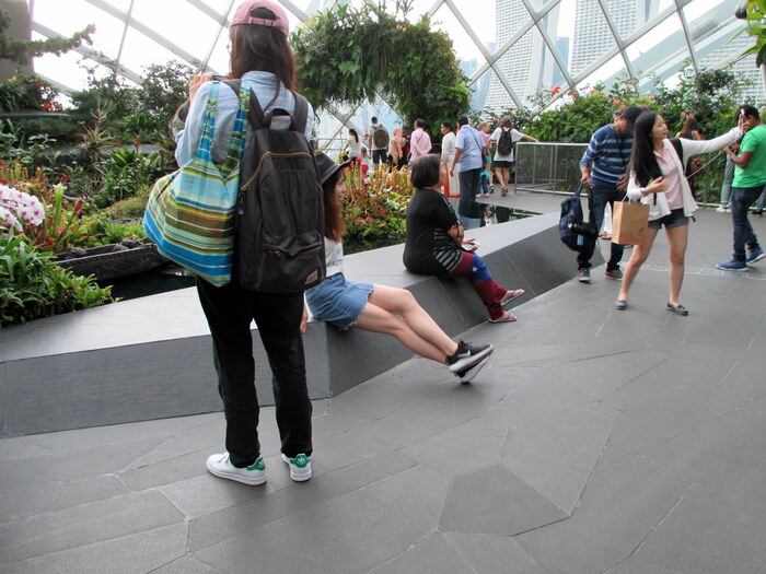 Ямато надэсико.