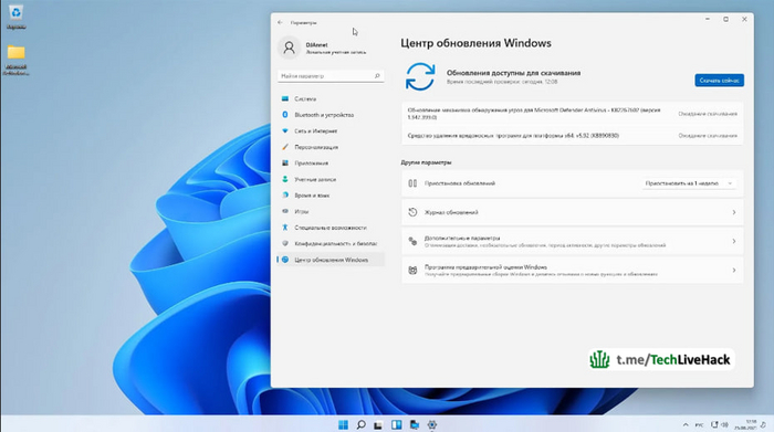  Windows 11 24H2      , , , , Windows, 2024, Telegram ()