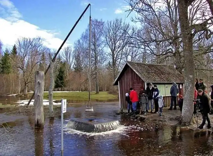     25     . ,      ,   . : <!--noindex--><a href="https://pikabu.ru/story/pochemu_iz_yetogo_dereva_v_chernogorii_letsya_voda_11140012?u=http%3A%2F%2FVilingstore.net&t=Vilingstore.net&h=801d19c14bededc0bb38633e1919208b5ee43185" title="http://Vilingstore.net" target="_blank" rel="nofollow noopener">Vilingstore.net</a><!--/noindex-->