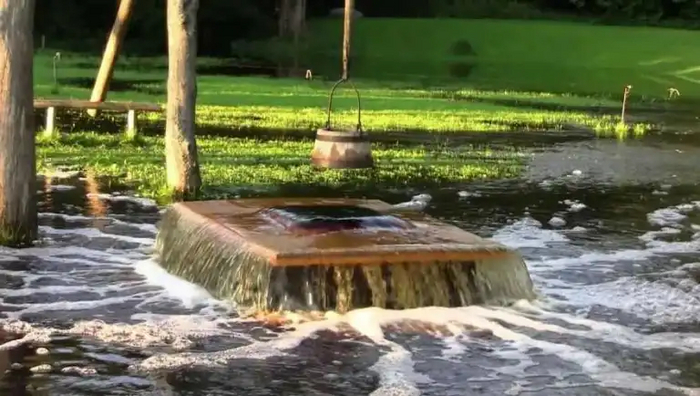      . : <!--noindex--><a href="https://pikabu.ru/story/pochemu_iz_yetogo_dereva_v_chernogorii_letsya_voda_11140012?u=http%3A%2F%2FRus.postimees.ee&t=Rus.postimees.ee&h=01d8594649c3e143a8b6bf7ead4289a082693ee4" title="http://Rus.postimees.ee" target="_blank" rel="nofollow noopener">Rus.postimees.ee</a><!--/noindex--> 