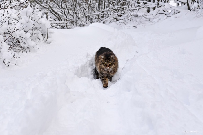 Даже и не думай!