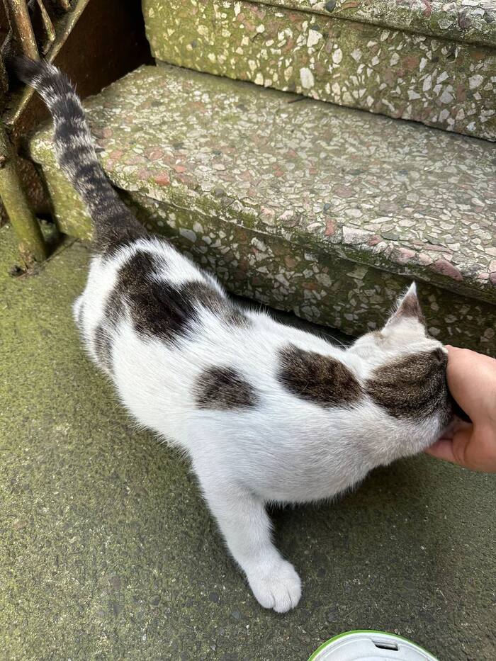 �� ����� ���������� �� ���� � ������, ����� � ������� ���� ���� ����, ������� ��� �����