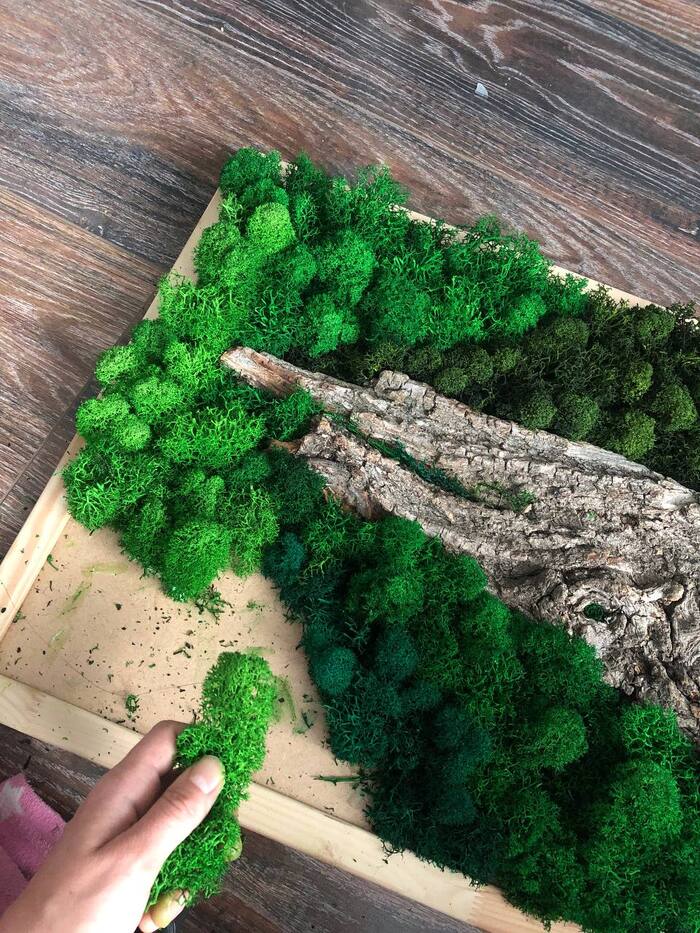 Мое вдохновение - лес