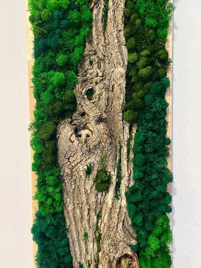 Мое вдохновение - лес