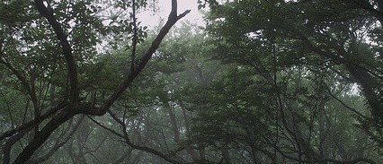 ������� �� ��������������� ��������