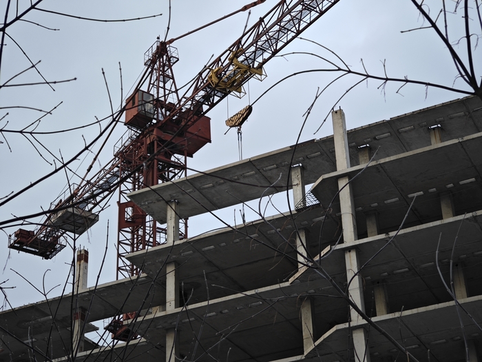 � ��� ��. ���������� ����������. ����������������.