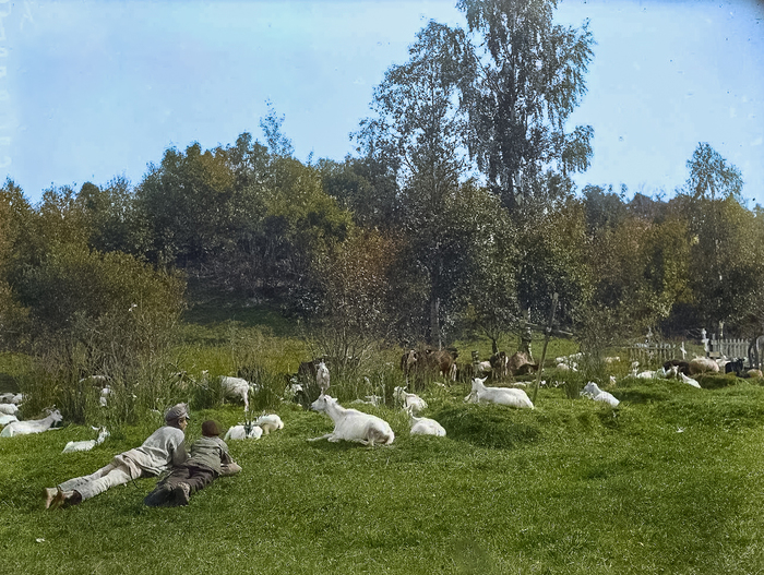 Как жили в Ленинградской области 100 лет тому назад? Исторические кадры из жизни крестьян в цвете. Часть II Старое фото, Фотография, СССР, 1920-е, История России, Колоризация, 20 век, Ленинградская область, Крестьяне, Деревня, Историческое фото, Длиннопост