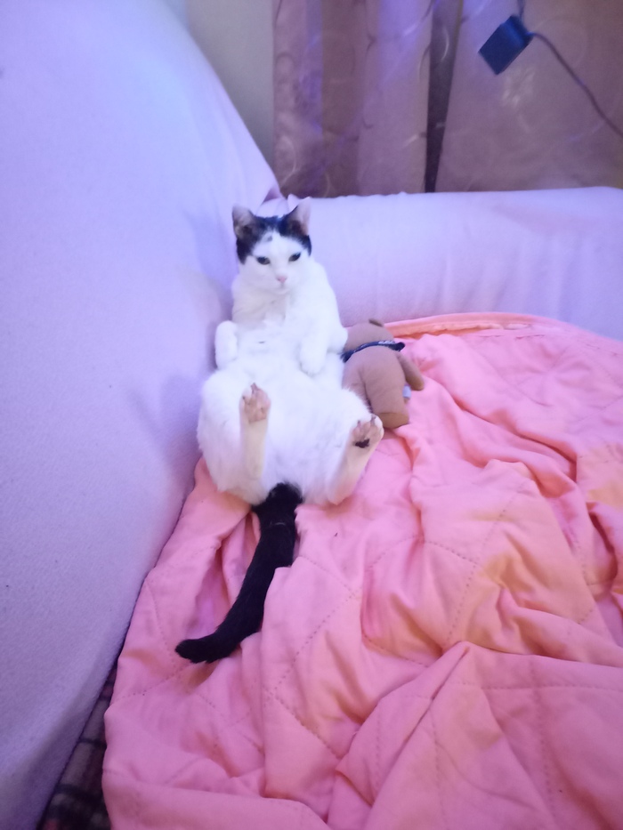 ���� ������� ������