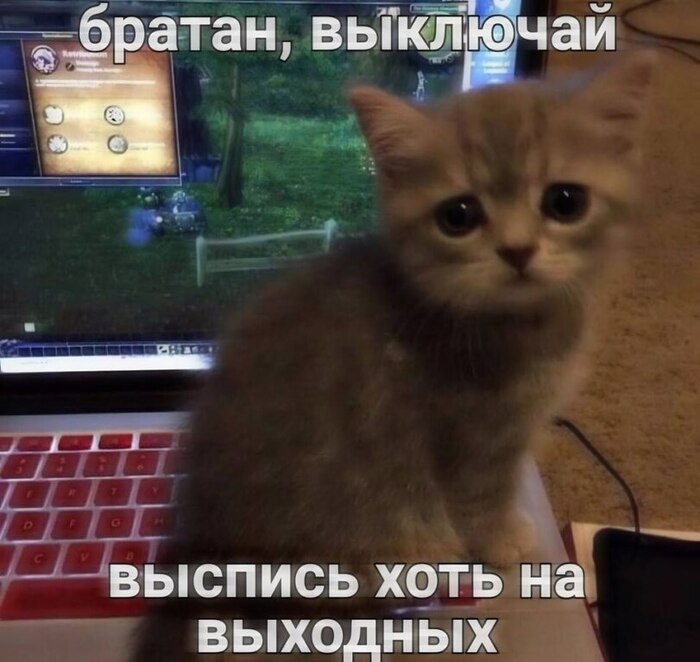 : !