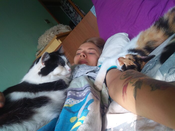   :)     -    ,   -   ))