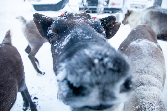 Привет! Есть что?