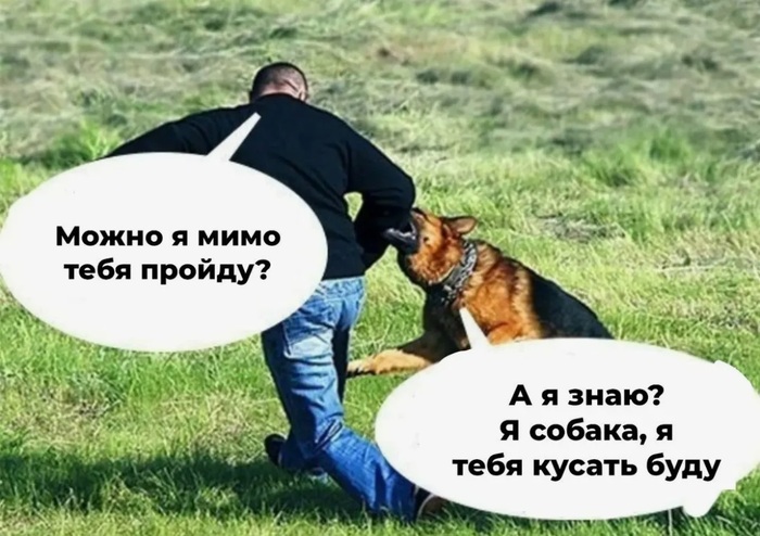 Бесят собаколюбы | Пикабу