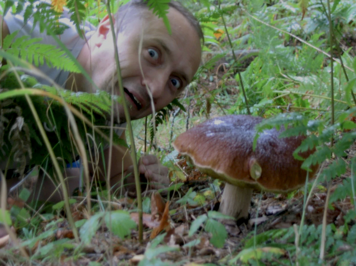 Существо без мозга, которое решает задачи и управляет чужим сознанием Грибы, Тихая охота, Грибники, Эксперимент, Детский журнал, Научпоп, Инопланетяне, Длиннопост Существо без мозга, которое решает задачи и управляет чужим сознанием Грибы, Тихая охота, Грибники, Эксперимент, Детский журнал, Научпоп, Инопланетяне, Длиннопост