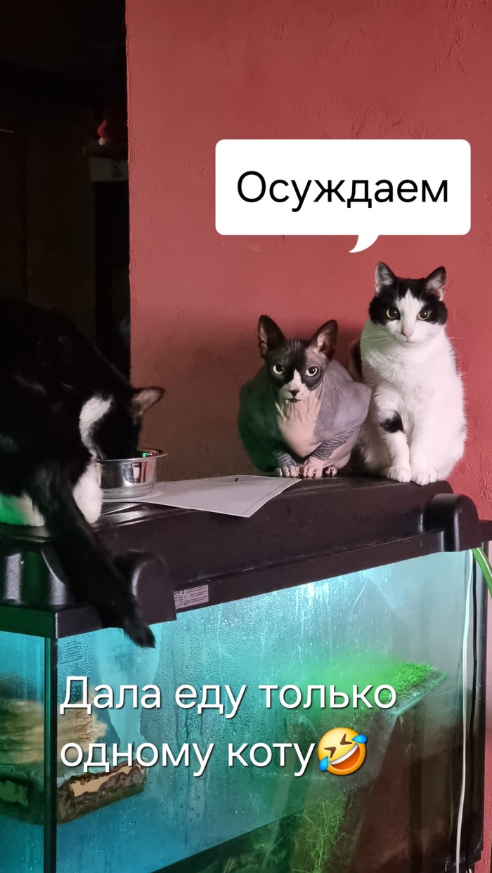   ,  ,   