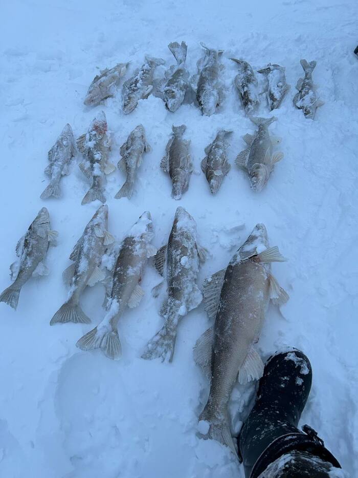 ���� �� ���� �� 4��