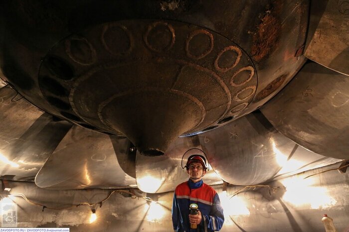 Из серии «Именно они делают Россию великой» / снято мной на Колымской ГЭС