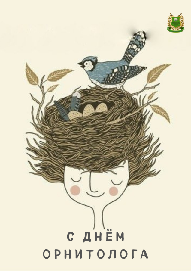 � ����������, ��������