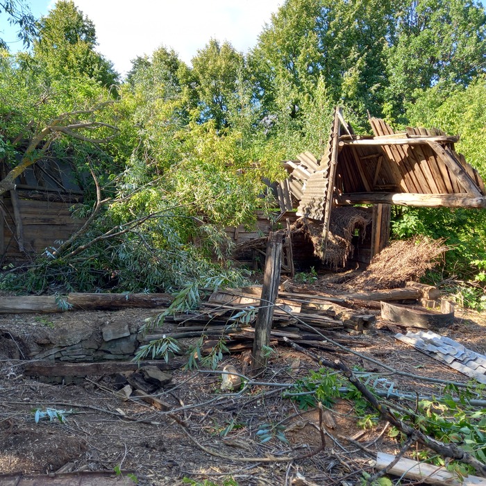     ,    .  ,    :  -  ,    : , ,      ,     !