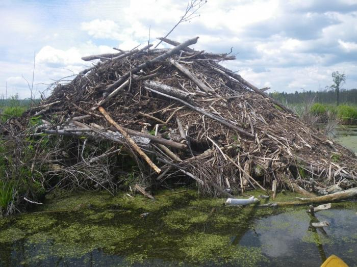 Да эта «хатка» побольше моей квартиры будет!