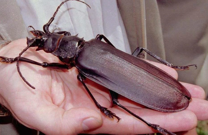 ,    .       .     ,   ,      .