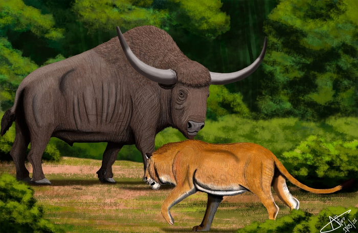 :   .  :    , ,     .