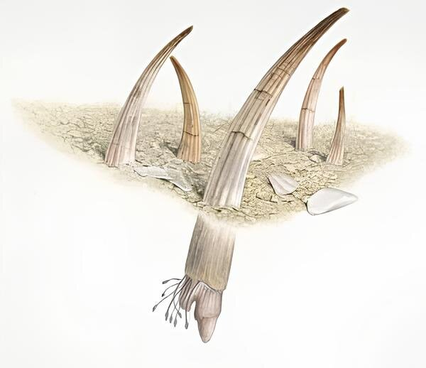 Кто-то: не закапывайся в работе! Так и до выгорания недалеко! Я на работе.