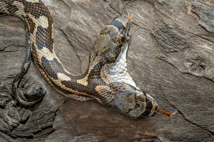 Чёртов навигатор, куда поворачивать?!