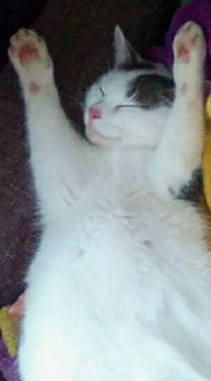 � ������ �� �����