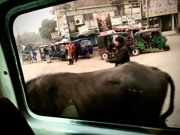 �� �������� ������ �����������