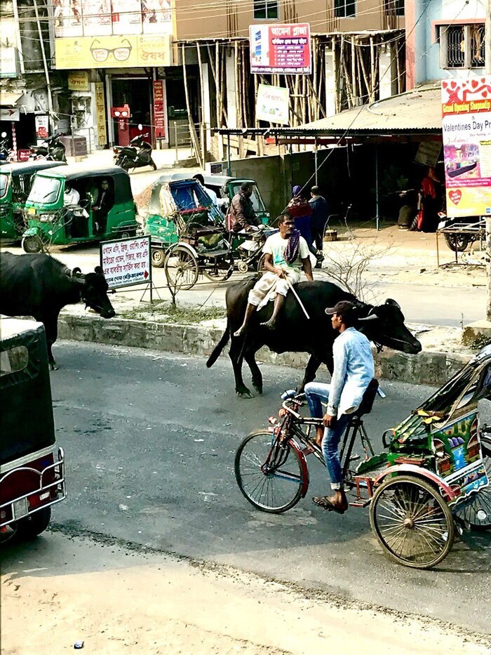 �������� ����� ������� �� ������