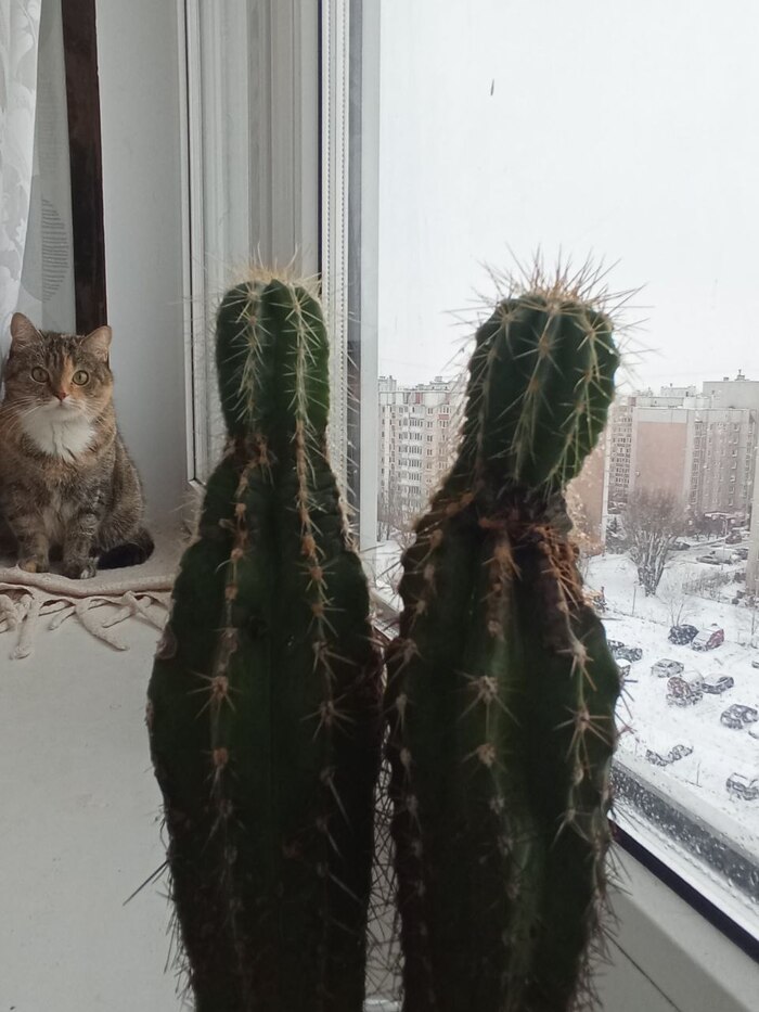 ����� �� ���� �� ������ �� �����