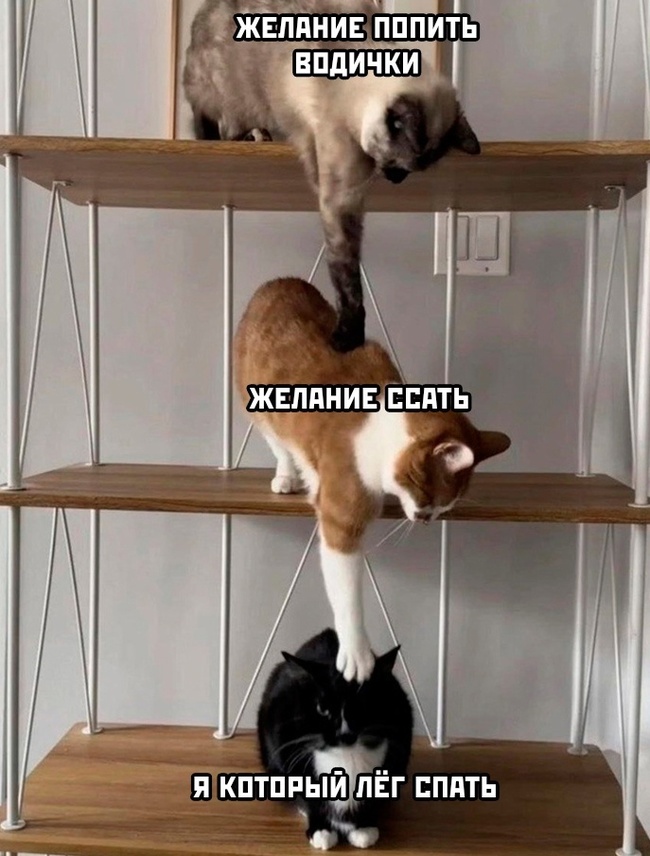 � ��� ������ ���