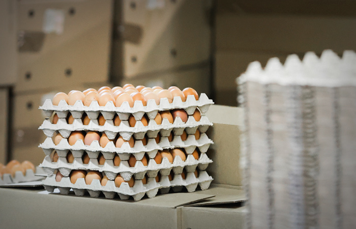 Супермаркеты продают яйца и курицу себе в убыток Экономика, Новости, Политика, Россия, Яйца, Торговля, Рост цен, Инфляция, Курица, Супермаркет, Супермаркет Перекресток, Супермаркет Магнит, Госдума
