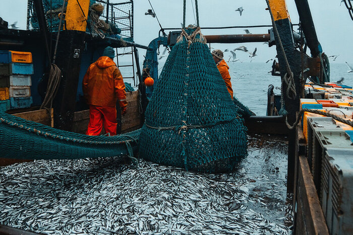 ���� �� ��������� 